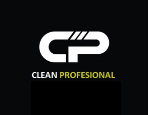CLEAN PROFESSIONAL 